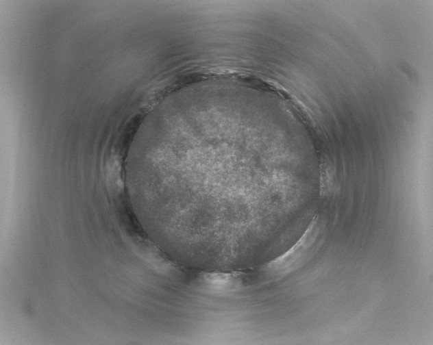 X0000114490187200911161220