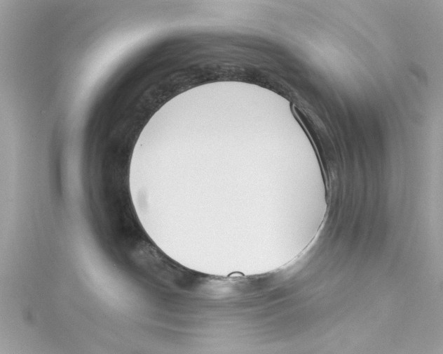 X0000114490190200911161220