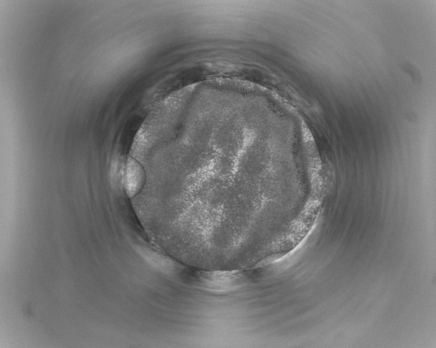 X0000114490191200911161220