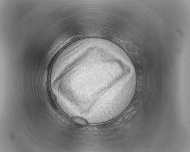 X0000114490194200911161220