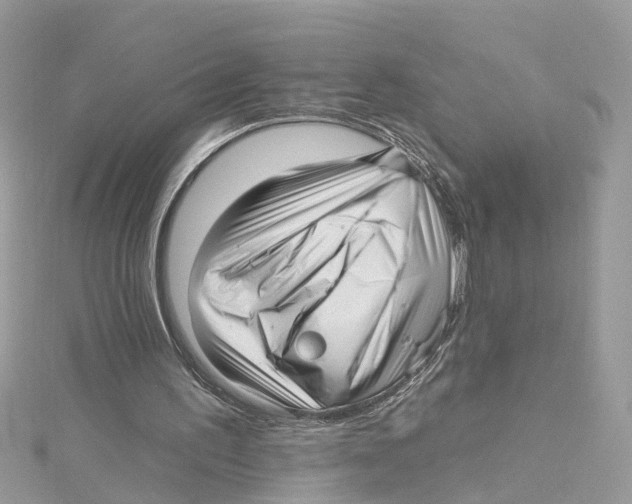 X0000114490195200911161220