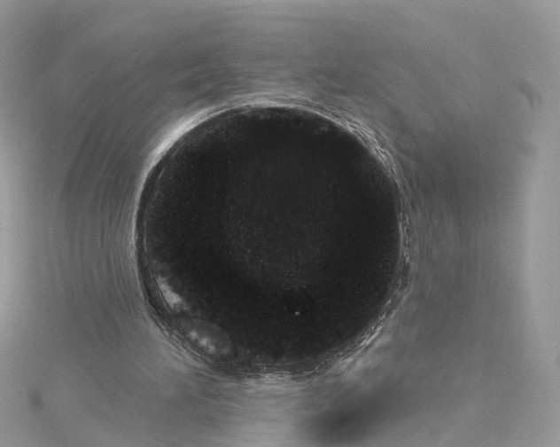 X0000114490196200911161220