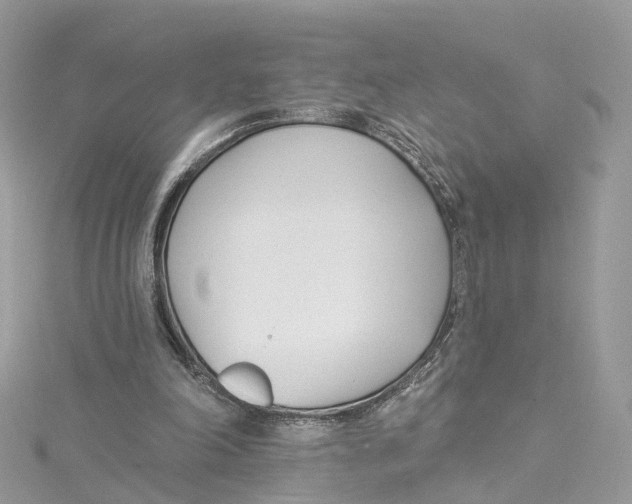 X0000114490198200911161220