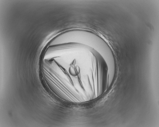 X0000114490199200911161220