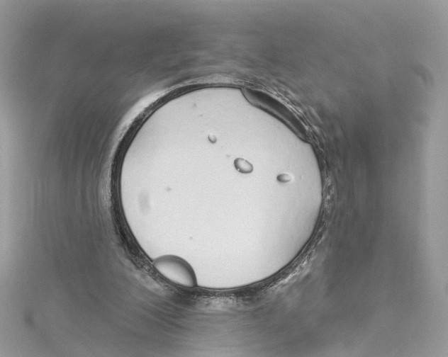 X0000114490200200911161219