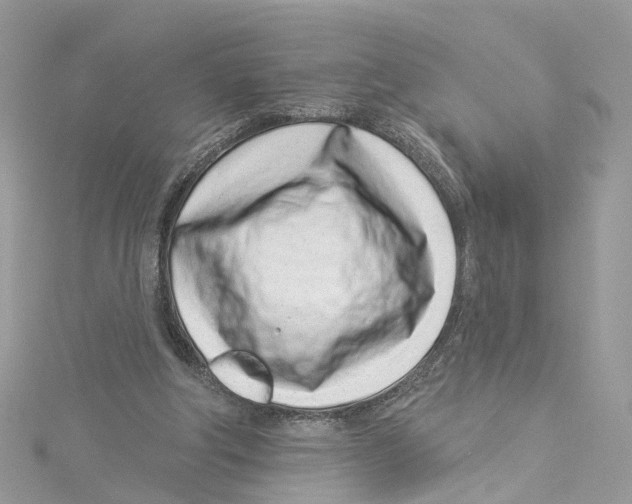 X0000114490202200911161219