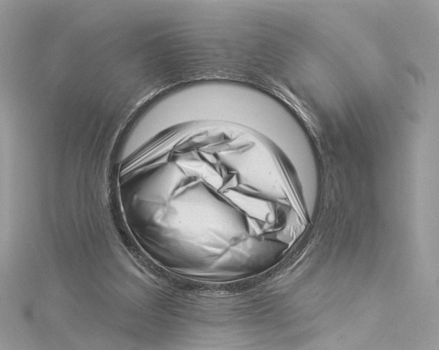 X0000114490203200911161219