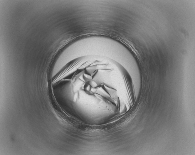 X0000114490205200911161219