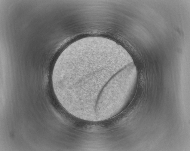 X0000114490208200911161219