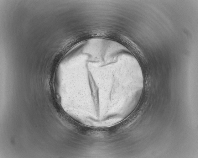 X0000114490209200911161219