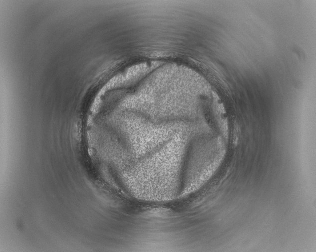 X0000114490210200911161219