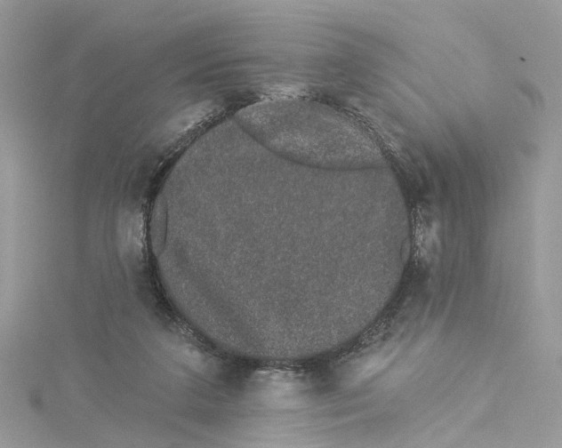 X0000114490211200911161219