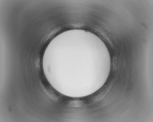 X0000114490212200911161219