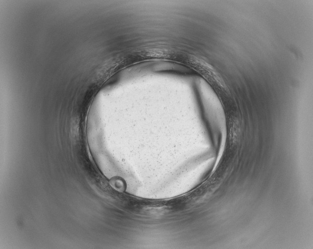 X0000114490213200911161219