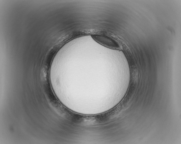 X0000114490214200911161219