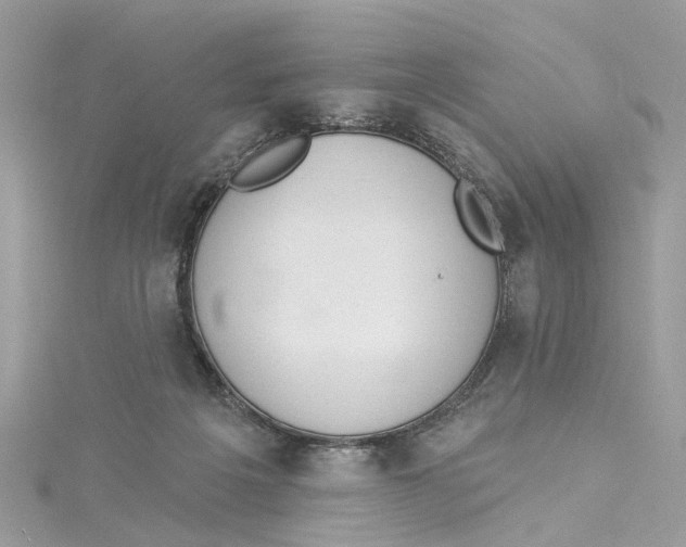 X0000114490217200911161219