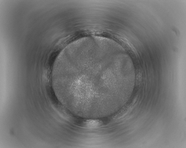 X0000114490218200911161219