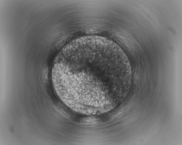 X0000114490219200911161219