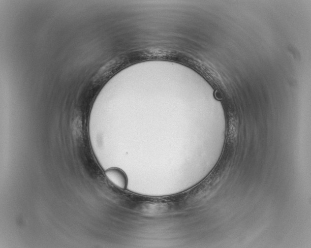 X0000114490220200911161219