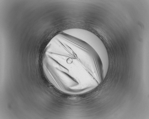 X0000114490221200911161219