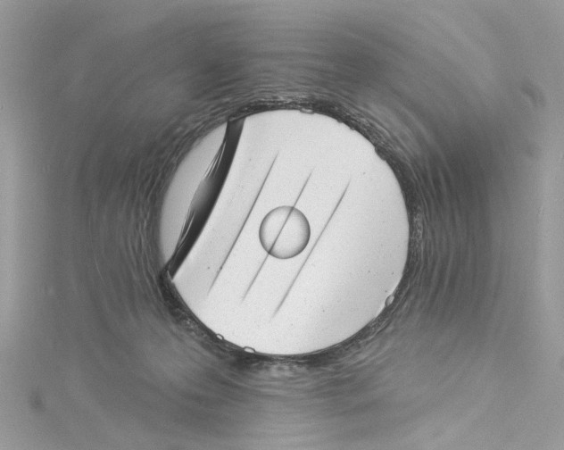 X0000114490223200911161219