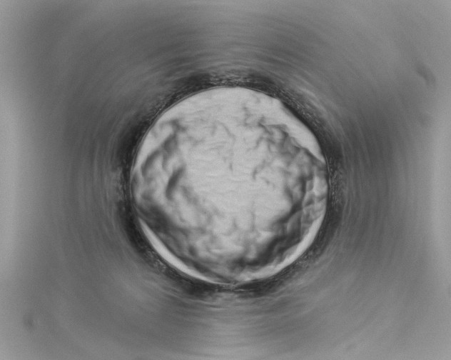 X0000114490224200911161219