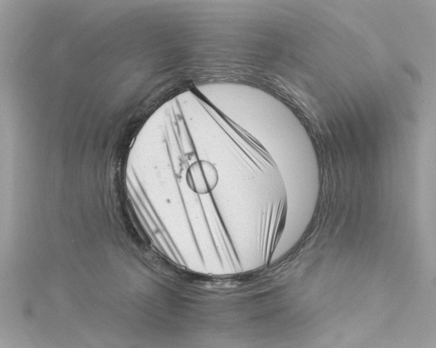 X0000114490225200911161219