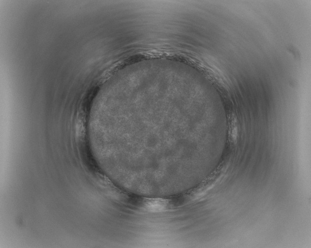 X0000114490226200911161219