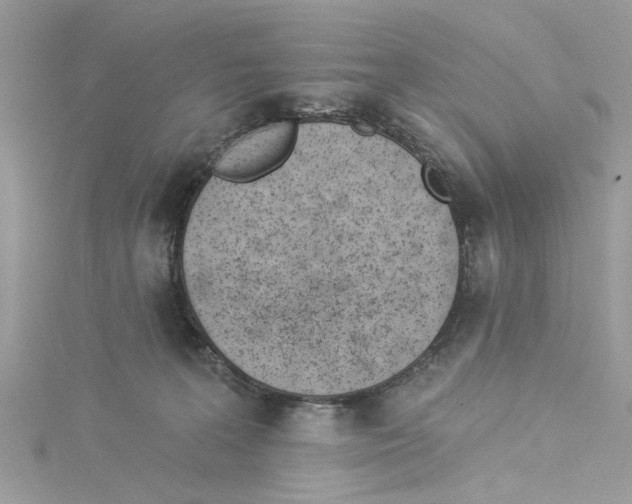 X0000114490227200911161219