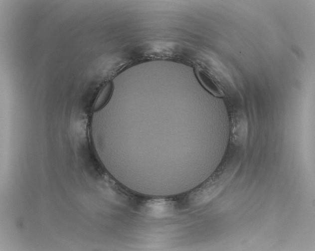 X0000114490231200911161219