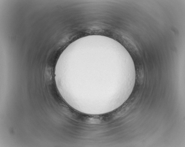 X0000114490232200911161219