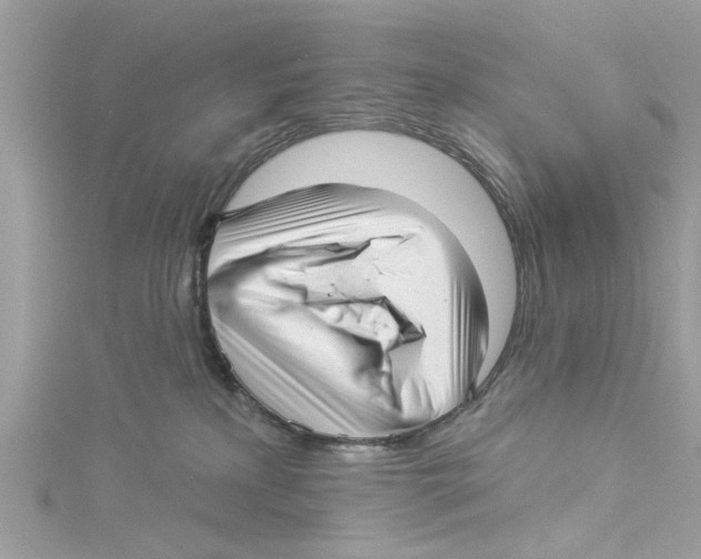 X0000114490233200911161219