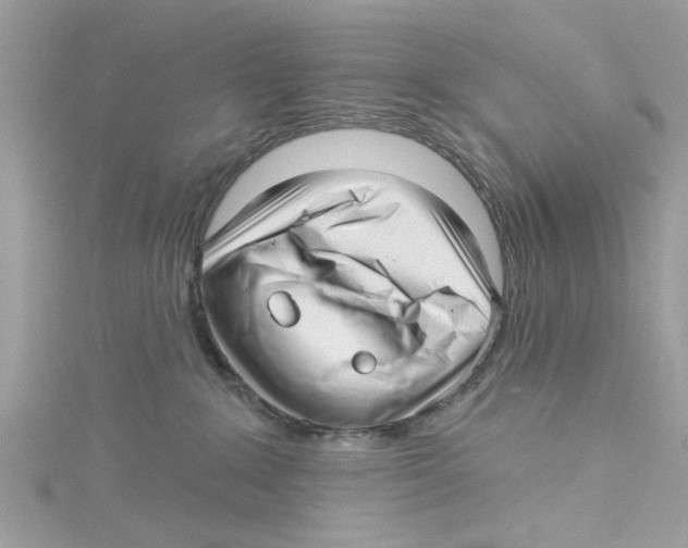 X0000114490235200911161219