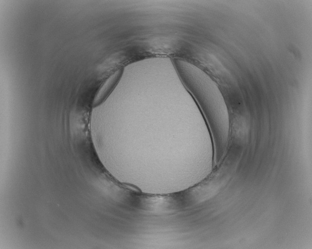 X0000114490237200911161219