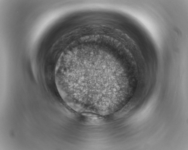 X0000114490239200911161219