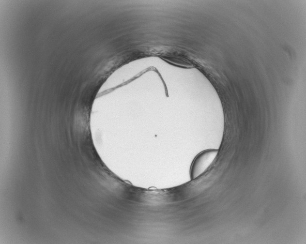 X0000114490240200911161219