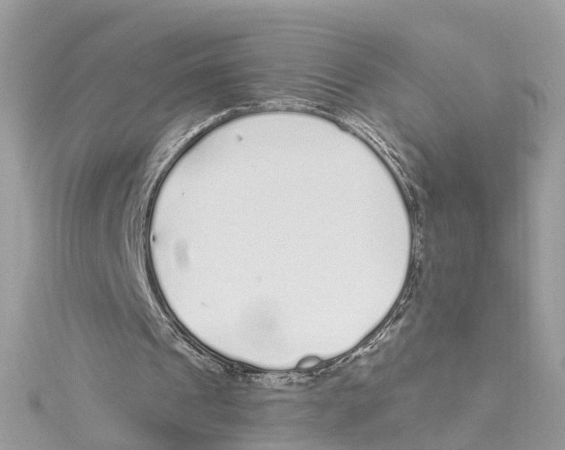 X0000114490241200911161218