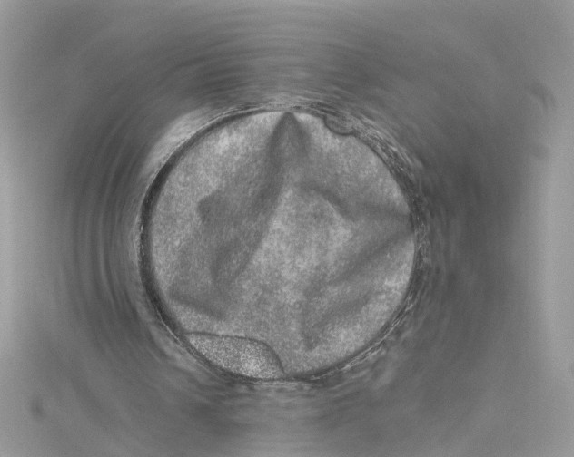 X0000114490242200911161218