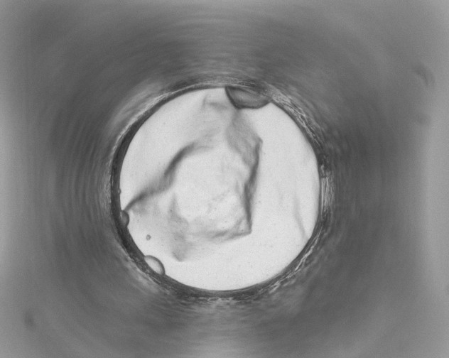 X0000114490243200911161218