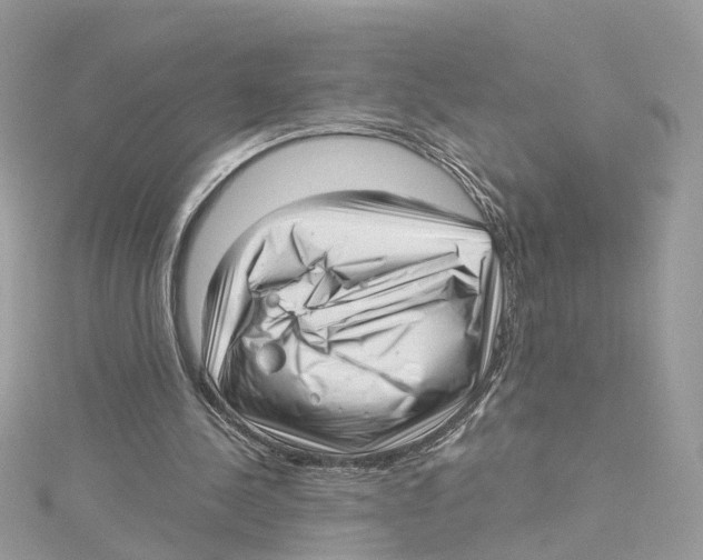 X0000114490244200911161218