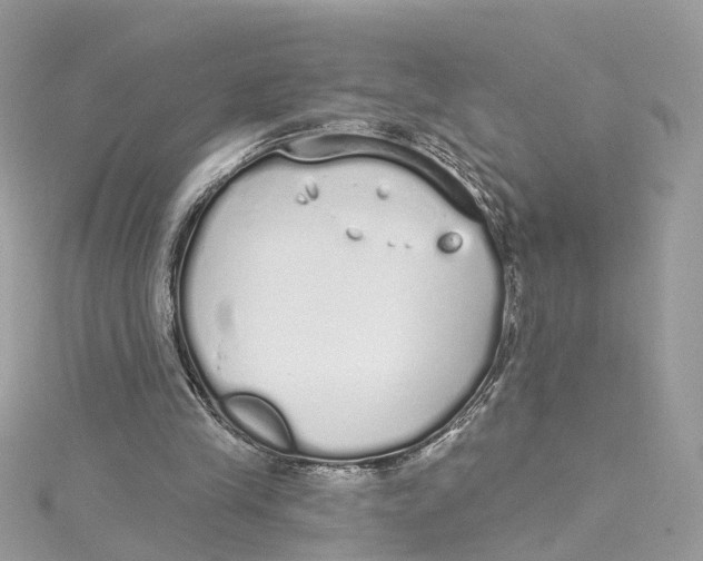 X0000114490245200911161218