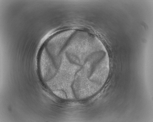 X0000114490246200911161218