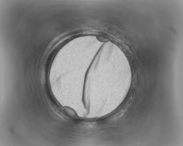 X0000114490247200911161218