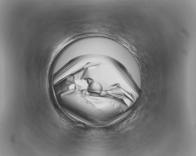 X0000114490248200911161218