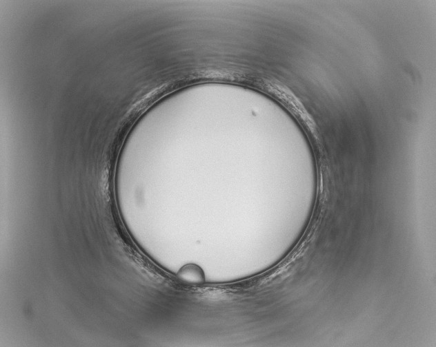 X0000114490249200911161218