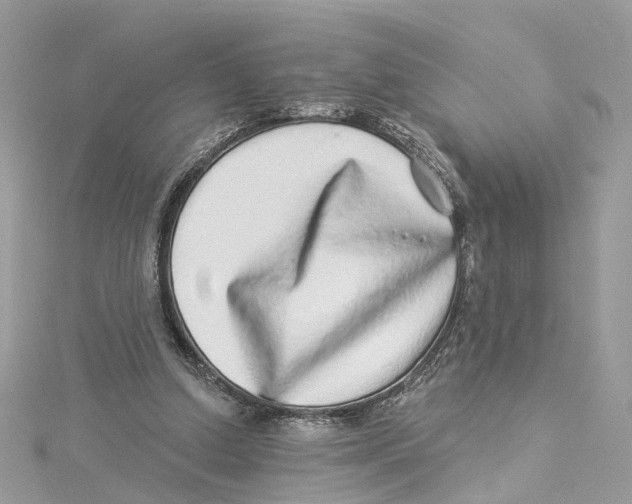 X0000114490250200911161218