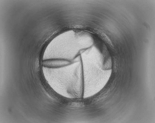 X0000114490251200911161218