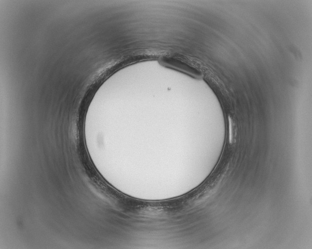 X0000114490252200911161218