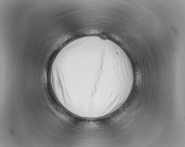 X0000114490254200911161218