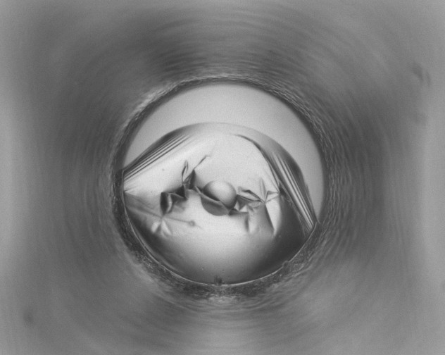 X0000114490256200911161218